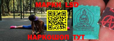 гашик Новозыбков