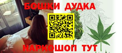 гашик Новозыбков
