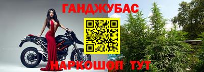 гашик Новодвинск