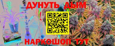 гашик Новозыбков