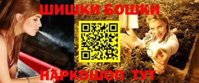 гашик Новозыбков