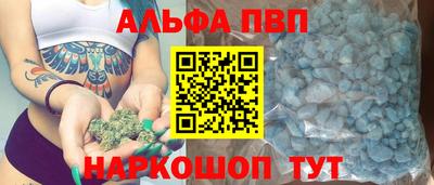 гашик Новодвинск